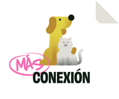 Conexion - Ebook - es