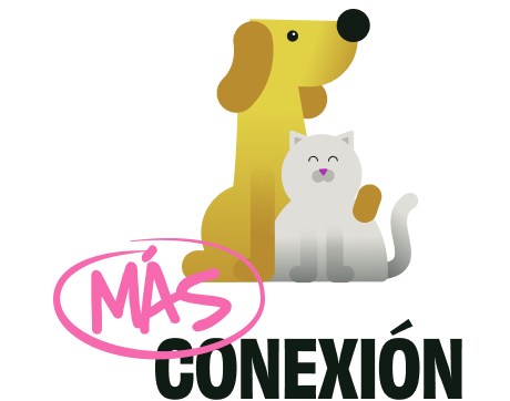 Conexion - es